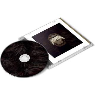 Amenra - De Toorn