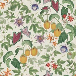 Royal Horticultural Society Wallpaper Citrus Vine 100307OL