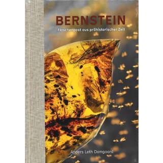 BERNSTEIN - Flaschenpost aus prähistorischer Zeit