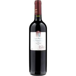 San Pedro de Yacochuya Red 2021