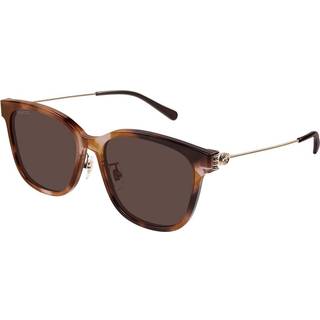 Gucci Kvinde GG1884SK 004 Solbriller Acetat Havana Brun Rund