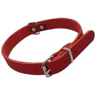 Halsbånd TABIL - 52 cm (42-48 cm) - Brun