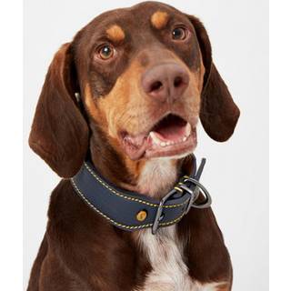 Joules Joules Blue Adjustable Leather Dog Collar