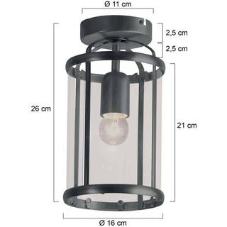 Pimpernel loftlampe, sort, metal, glas