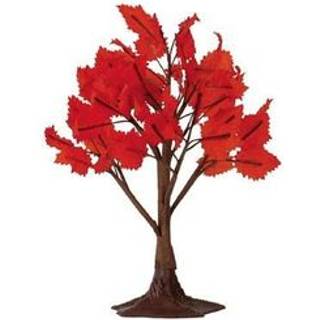 Maple Tree Medium
