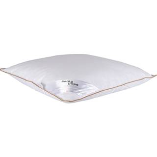 Moskusdun hovedpude - Lav - 50x70 cm - 3 kamre hovedpude - Borg Living