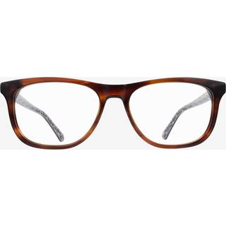 Ted Baker TB8262 105 53 Briller Mænd Tortoiseshell - Havana - 53mm