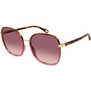 Chloé CH0031S 016 56 Solbriller Kvinder Tortoiseshell - Gold - 56mm