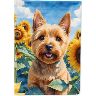 Carolines skatte DAC6127CHF Norwich Terrier i Sunflowers House Flag Stor veranda ærme pole dekorativt uden for gårdspladser Artwork Wall Hanging