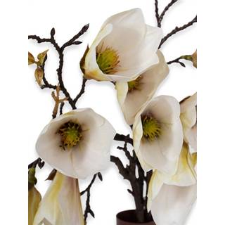 Magnolia gren - 49 cm - Flot kunstig gren med hvide blomster - Dekoration til boligen