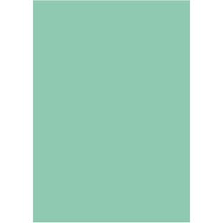 Karton Folia 50x70cm 300g mint grøn