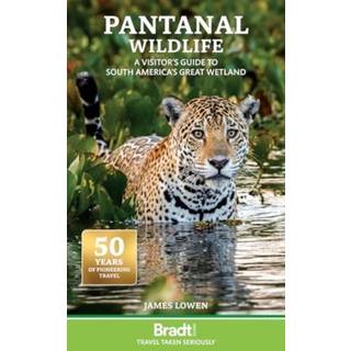 Pantanal Wildlife
