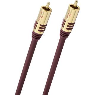 Phono Audio Tilslutningskabel [1x Cinch-stik - 1x