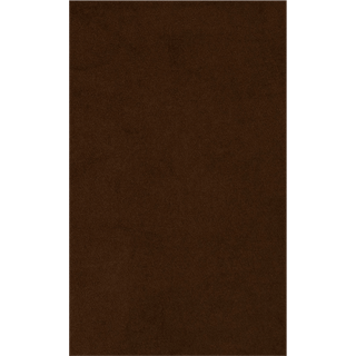 Fabric Sample - Rich Velvet - Soft Brown