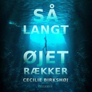 Så langt øjet rækker (Lydbog)