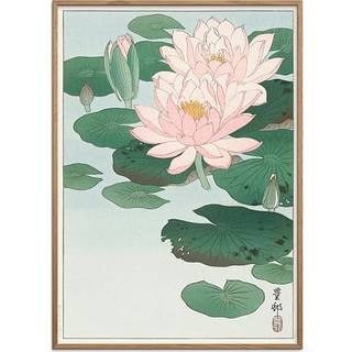 Water lilies, japansk - 50x70 cm