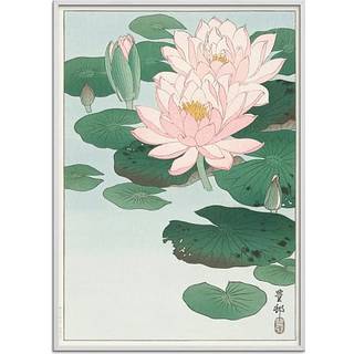 Water lilies, japansk - 50x70 cm