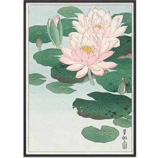 Water lilies, japansk - 50x70 cm