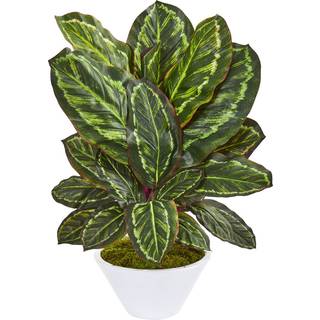 Næsten naturlig 26-in. Maranta kunstige hvide vase silkeplanter grøn