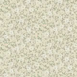 Klöver - Light Beige