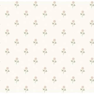 Anemone - 6973