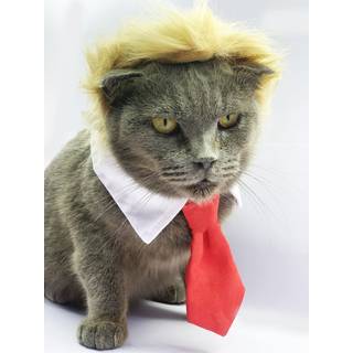 K?ledyrskostume Hundeparyk Hundet?j med halsb?nd og bindehovedbekl?dning til Halloween festfestivaler jul (Yello)