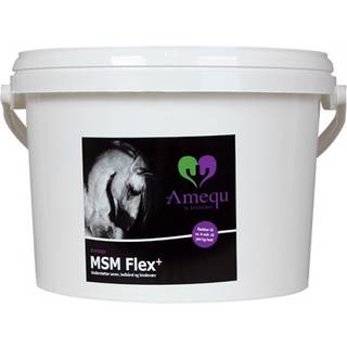 Amequ MSM Flex+ - 5 kg