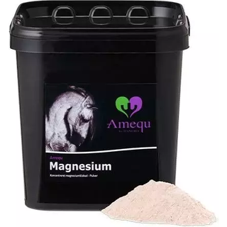 Magnesium