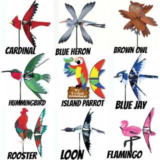 Premier drager 25 tommer. Eastern Blue Jay Spinner