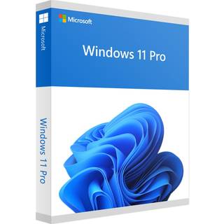 Microsoft Windows 11 Pro (OEM)