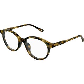 Chloé Kvinde CH0316OA 002 Optiske stel Acetat Havana Transparent Rund