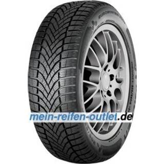 Falken EUROWINTER HS02 ( 205/45 R18 90V XL, BLK )