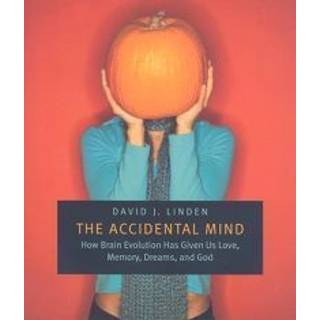 The Accidental Mind