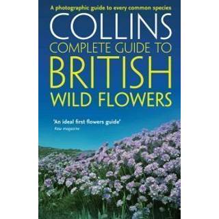 British Wild Flowers