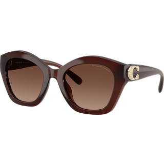 Coach HC8421U CAD31 Polarized 5841T5 54 Solbriller Kvinder Brun - Hazelnut Brown Milk Colour - 54mm