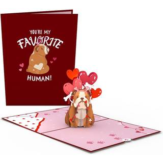 LovePop Everyday Pop -Up Card til Him Girls Boys - 3D Love lykønskningskort - Favorit Human - 5 """" X 7 """" - Blank Note Card & Convolut inkluderet