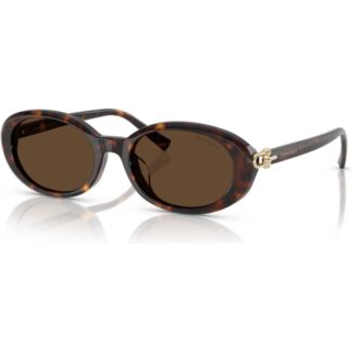 Tiffany Kvinde TF4242D 80153G Solbriller Acetat Skildpadde Brun Rund Normal