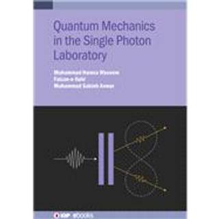 Quantum Mechanics in the Single Photon Laboratory