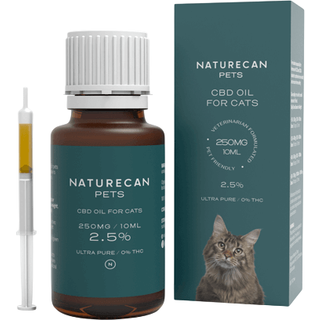 CBD Olie - Kat