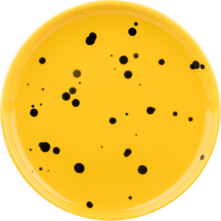 Marimekko Oiva tallerken Ø13,5 cm. Yellow-black