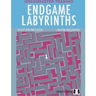 Endgame Labyrinths (Hardcover)