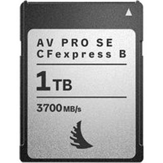 Angelbird CF Express B 4.0 AV Pro SE 1TB R3700 W2300
