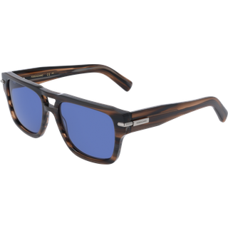 Salvatore Ferragamo SF2070S 216 56 Solbriller Mænd Brun - Striped Brown - 56mm