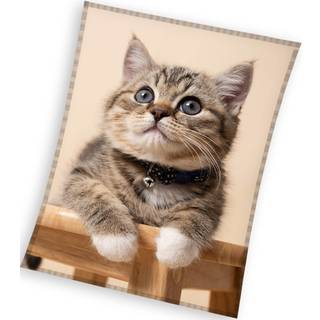 Katte Coral Fleece tæppe - 150 x 200 cm