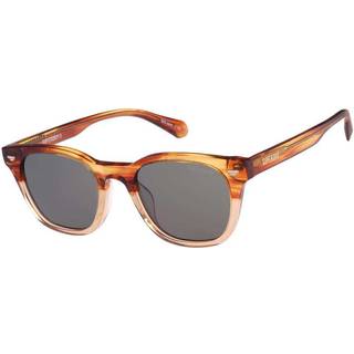 Superdry SDS 5043 194 50 Solbriller Mænd Brun - Transparent Brown Horn - 50mm
