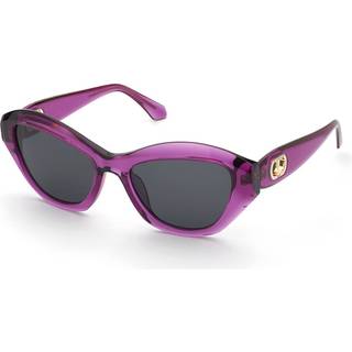 Twinset Kvinde STW068 03GB Solbriller Acetat Violet Røg Sommerfugl Normal