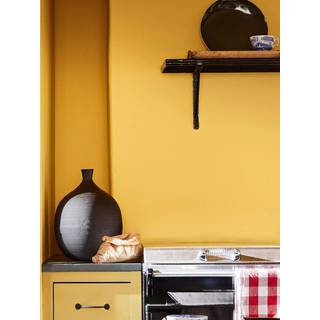 Giallo™ - Absolute Matt Emulsion - 5 L