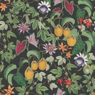 Royal Horticultural Society Wallpaper Citrus Vine 100308OL
