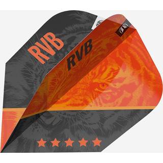 Raymond van Barneveld Pro Ultra G4 No. 6