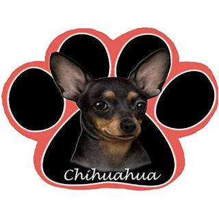 Sort Chihuahua Dog Paw Nold-Slip Mousepad